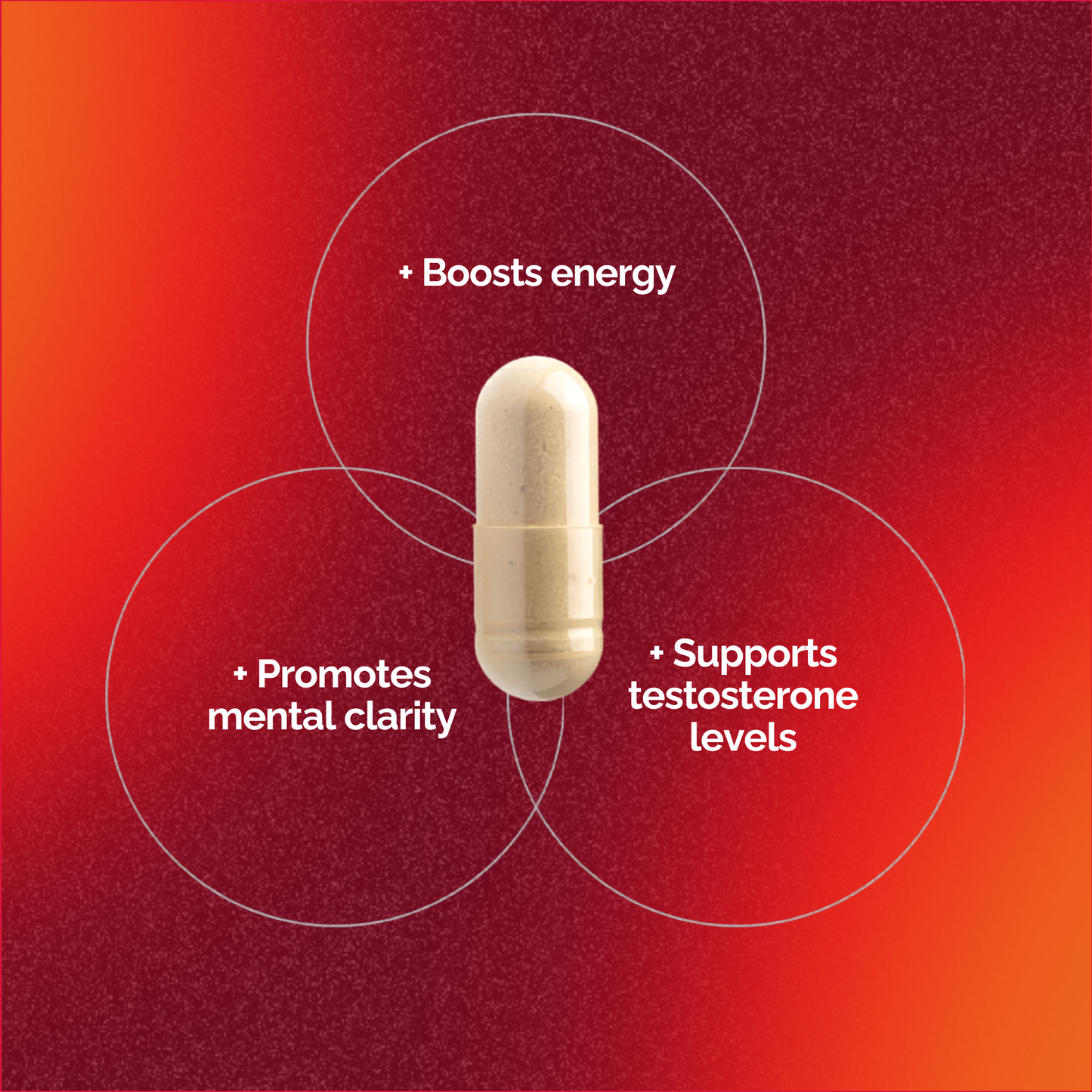 DISCIPLE A Natural Mushroom Complex For Men