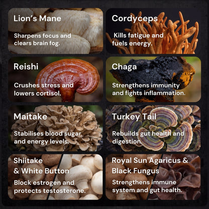 DISCIPLE A Natural Mushroom Complex For Men